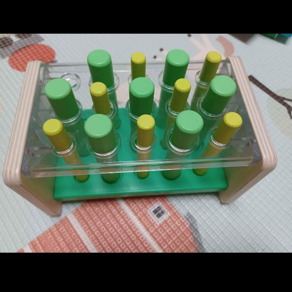 Lovevery Peg Toy